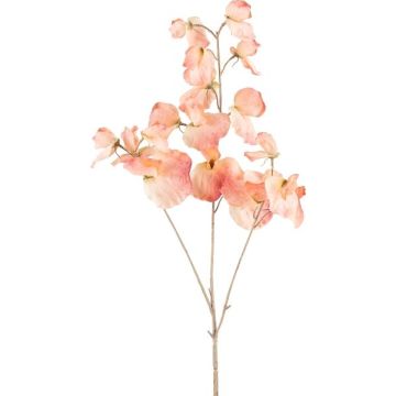 Kunstzweig Lathyrus latifolius SLIRKEN, aprikose, 75cm