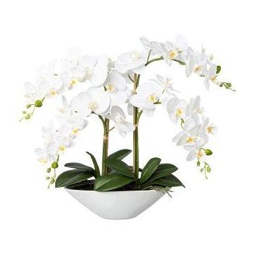 Kunst Phalaenopsis Orchidee KENTOL, Keramikschale, Wurzeln, weiß, 55cm