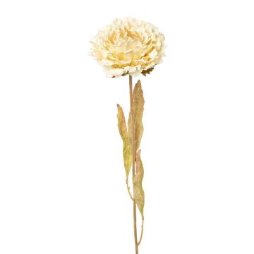 Künstliche Blume Pfingstrose MASNOR, Trockenoptik, creme, 65cm