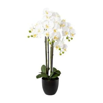Deko Phalaenopsis Orchidee UKERNA im Resin-Übertopf, weiß, 85cm