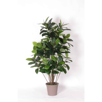 Künstlicher Gummibaum LAURINTU, Naturstämme, grün, 150cm - Made in Italy