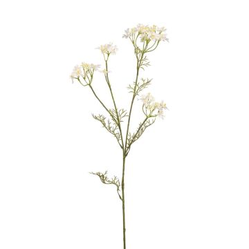Künstlicher Dill Zweig NUTMEG mit Blüten, weiß, 85cm