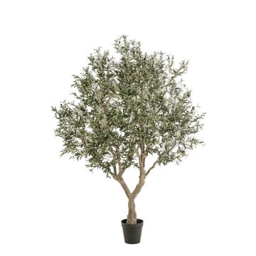 Künstlicher Olivenbaum ZALIKI, Kunststamm, Früchte, grün, 250cm