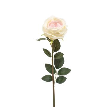 Samt Rose THYRI, creme-rosa, 65cm