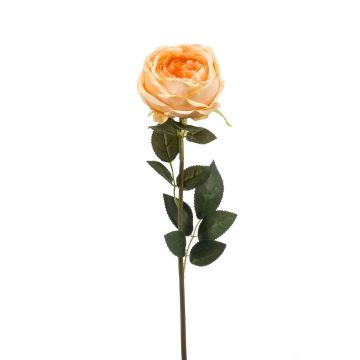 Samt Rose THYRI, pfirsich, 65cm