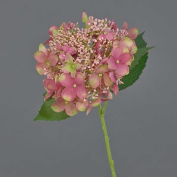 Künstliche Hortensie CALESA, altrosa-grün, 50cm, Ø15cm