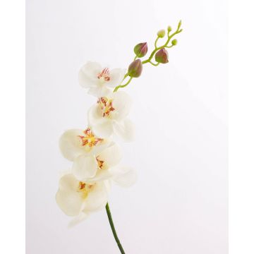 Textilzweig Phalaenopsis Orchidee DAJANA, creme-weiß, 90cm