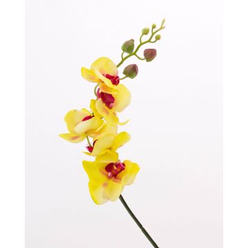 Textilzweig Phalaenopsis Orchidee DAJANA, gelb-pink, 90cm