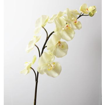 Textilzweig Phalaenopsis Orchidee FIDELIA, creme, 110cm