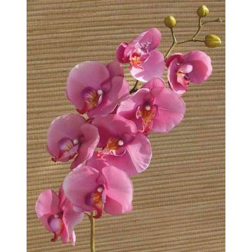 Kunstzweig Phalaenopsis Orchidee RICKY, pink, 105cm