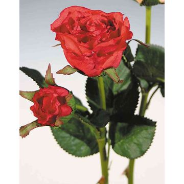 Samt Rose QUEENIE, rot, 30cm, Ø3-5cm