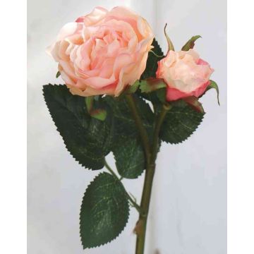 Samt Rose QUEENIE, aprikose-rosa, 30cm, Ø3-5cm