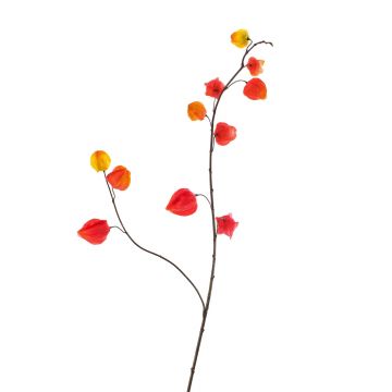 Kunst Physalis Zweig MARCY, Früchte, rot-orange, 95cm