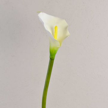 Kunst Calla SUSANA, weiß, 70cm, 8x12cm