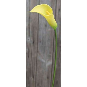 Plastik Zantedeschia EILEEN, gelb, 65cm