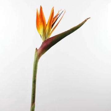 Deko Paradiesvogelblume CHAYA, orange-violett, 95cm, 17x24cm
