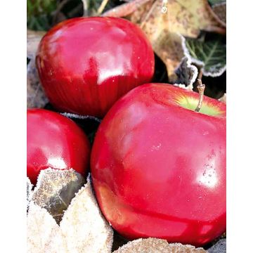 Kunst Apfel REGGIE, rot, 8cm
