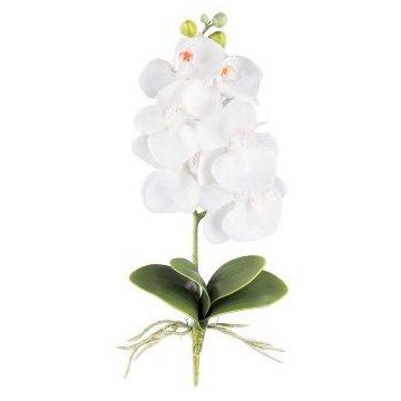 Kunst Phalaenopsis Orchidee DRINTOR, Steckstab, Wurzeln, weiß, 40cm