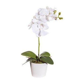 Kunst Phalaenopsis Orchidee TRALKE, Steckstab, Wurzeln, weiß, 40cm