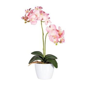 Kunst Phalaenopsis Orchidee FRUXO, Steckstab, Wurzeln, rosa, 50cm