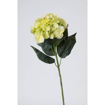 Kunstblume Hortensie ANGELINA, creme-grün, 70cm, Ø23cm