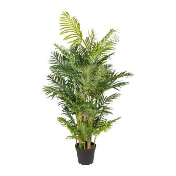 Kunst Palme Areca HAZMI, 170cm