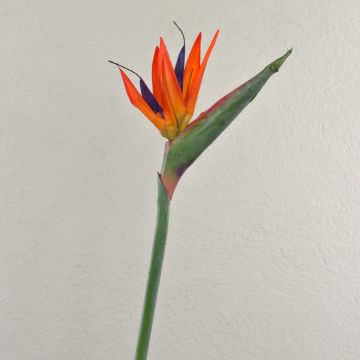 Künstliche Strelitzie MELIORN, orange-violett, 80cm, 14x19cm
