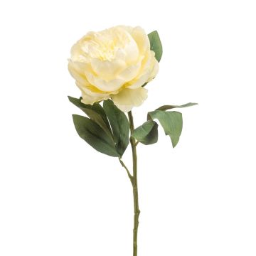 Pfingstrose künstlich IFEOMA, creme, 65cm