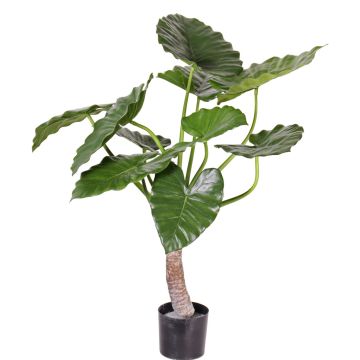 Dekopflanze Alocasia Calidora SURI, grün, 80cm