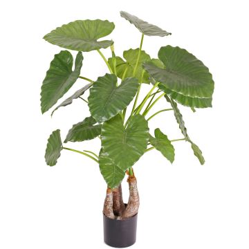 Dekopflanze Alocasia Calidora SURI, grün, 120cm