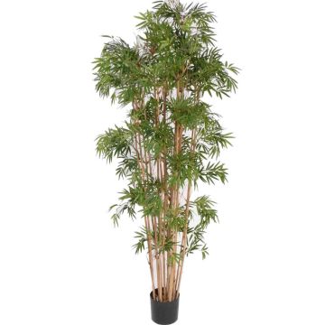 Kunstpflanze Bambus NARO, Echtstämme, 210cm