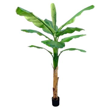 Kunst Bananenbaum SCHWANA, 210cm
