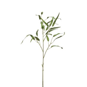 Dekozweig Eukalyptus CALIK, grün, 75cm