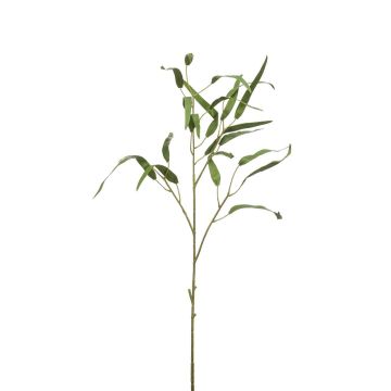 Eukalyptus Kunstzweig CALIK, grün, 75cm