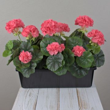 Kunst Geranien FLOREANA im Blumenkasten, 3 Stück, lachs, 40x15x35cm