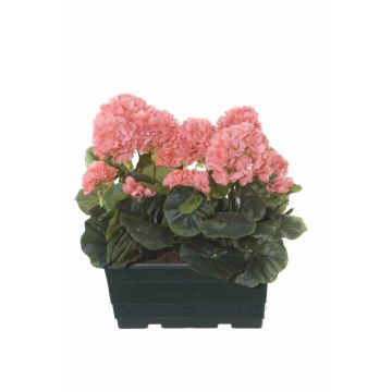 Kunst Geranien FLOREANA im Blumenkasten, 2 Stück, lachs, 24x11x34cm