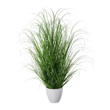 Deko Gras Lampenputzergras KIVRA im Dekotopf, grün, 75cm