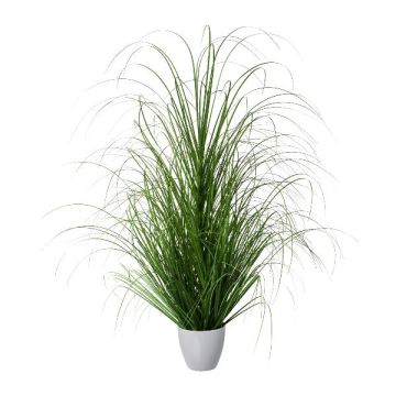 Deko Gras Lampenputzergras KIVRA im Dekotopf, grün, 90cm