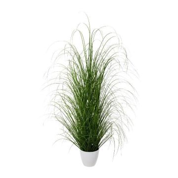 Deko Gras Lampenputzergras KIVRA im Dekotopf, grün, 120cm