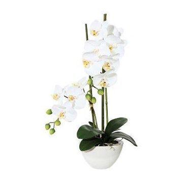 Kunst Phalaenopsis Orchidee DINKA in Keramikschale, Wurzeln, weiß, 50cm