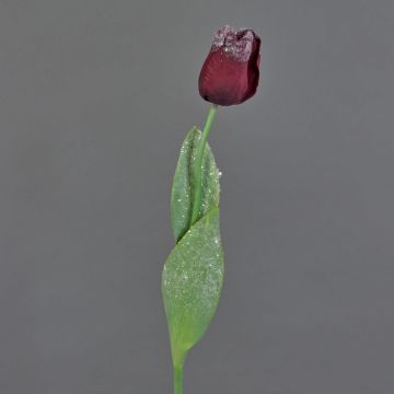 Künstliche Tulpe PILVI, geeist, bordeauxrot, 65cm, Ø5cm
