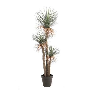 Kunstpflanze Yucca rostrata Palme DENALI im Dekotopf, 180cm