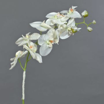 Textilzweig Phalaenopsis Orchidee NALANI, Schnee, weiß, 65cm, Ø8-9,5cm