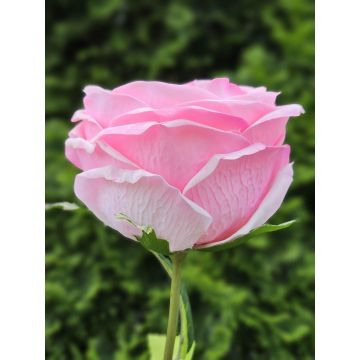 Rose künstlich MARNUK, rosa, 60cm