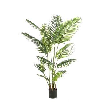 Goldfruchtpalme künstlich TAWAN, 160cm