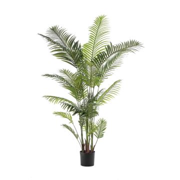 Goldfruchtpalme künstlich TAWAN, 200cm