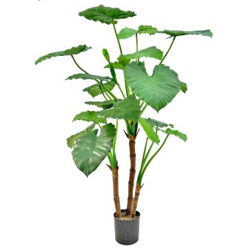 Künstliche Pflanze Alocasia calidora NOKJAN, grün, 120cm