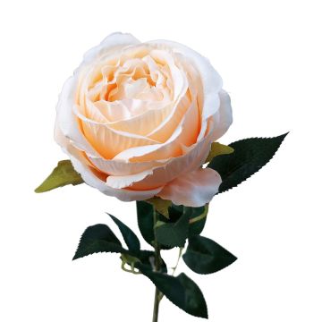 Plastik Blume Rose CHERLEN, aprikose, 65cm, Ø10cm