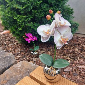 Deko Blume Orchidee Phalaenopsis NAPIRAI mit Übertopf, weiß-lila, 30cm