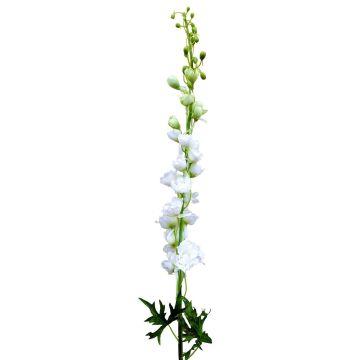 Fake Blume Rittersporn RADUNIA, creme-weiß, 100cm